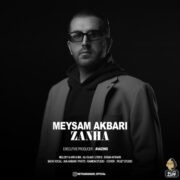 دانلود آهنگ جدید میثم اکبری زنها
